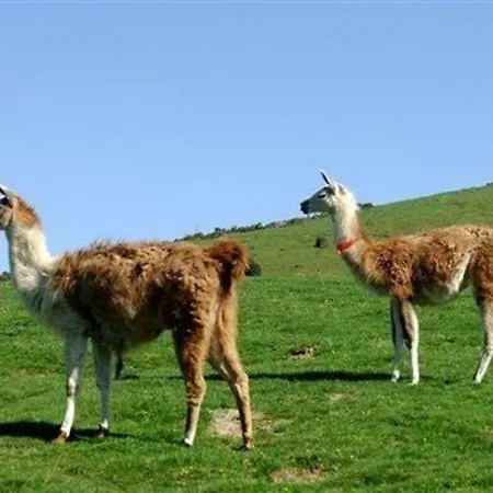 4 Pers - Terrasse, Piscine, Fitness, Parking - Proche Pistes - Fr-1-404-268