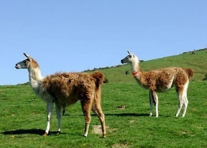 4 Pers - Terrasse, Piscine, Fitness, Parking - Proche Pistes - Fr-1-404-268